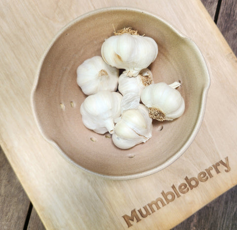 Lucy Jane Ceramics - Berry Colander / Bowl