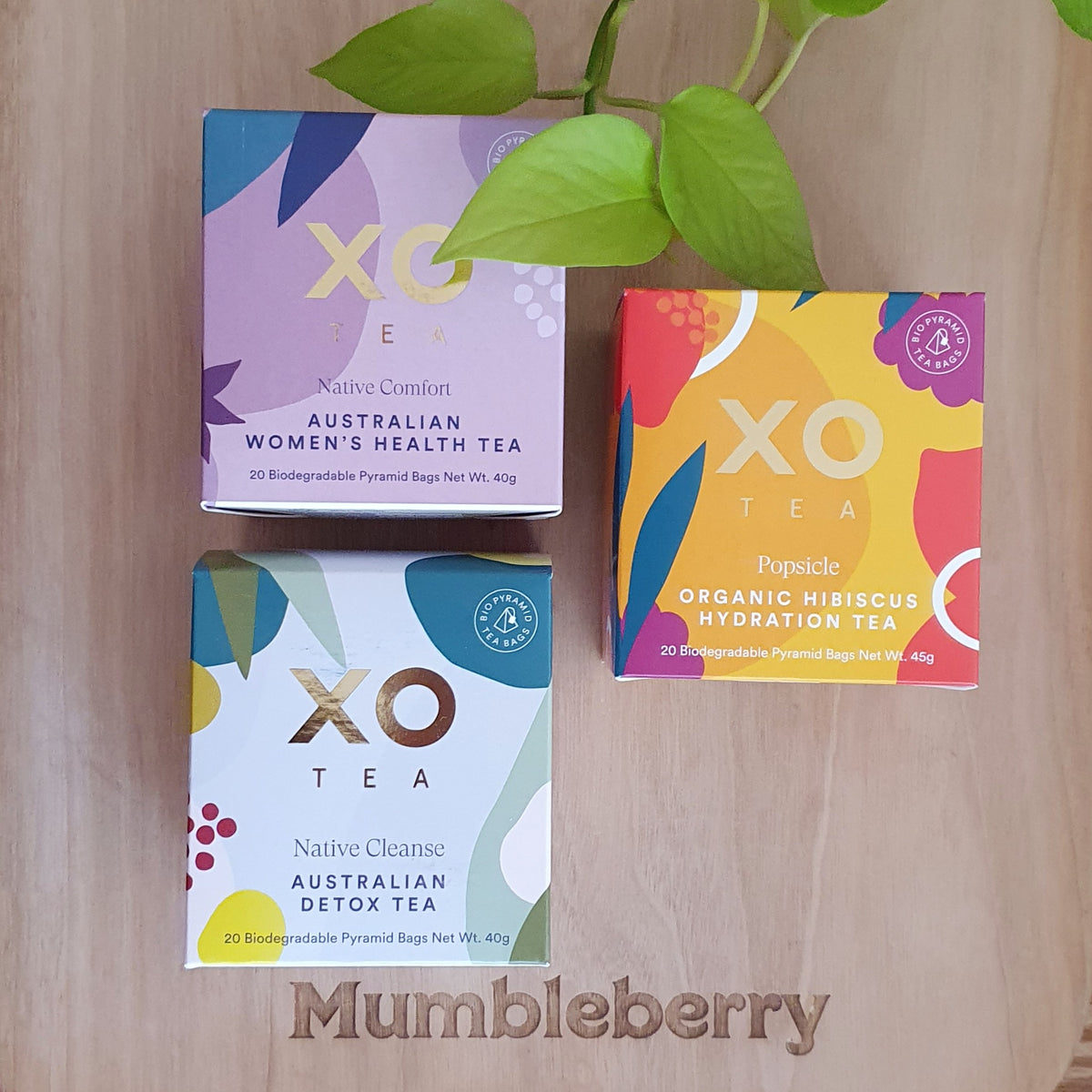 XO Tea | Native Tea – Mumbleberry