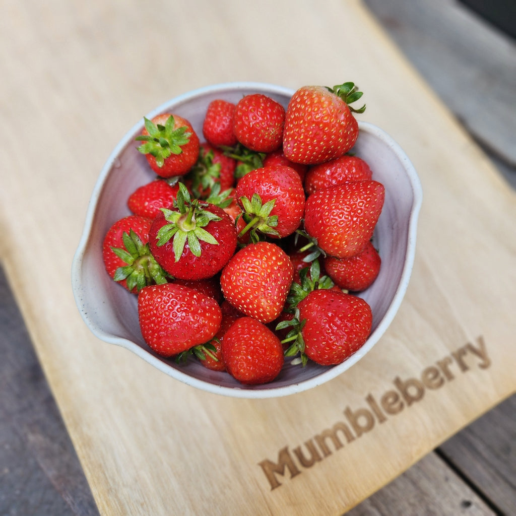 Lucy Jane Ceramics - Berry Colander / Bowl - Mumbleberry 17447 Home & Keepsakes